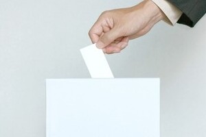 衆院選、投票先は何で決めた？【アンケート】