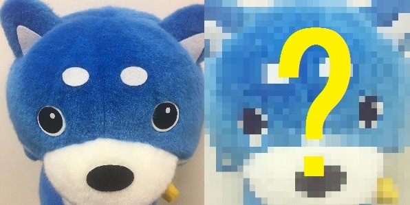 カス丸もかわいく変身