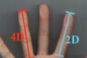 月経前のツライ症状は薬指を見るとわかる！指が長い人ほど症状が重くなる衝撃の事実