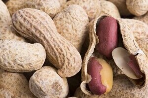 ピーナッツは薄皮ごと食べると健康長寿　お汁粉・鍋・生落花生...美味しいレシピ