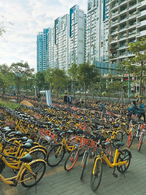 中国では自転車シェアリングが一気に拡大した（広東省深センにて2017年11月23日撮影）
