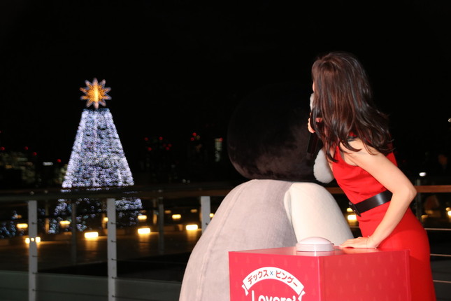 点灯したツリーを覗きこむ佐野さん