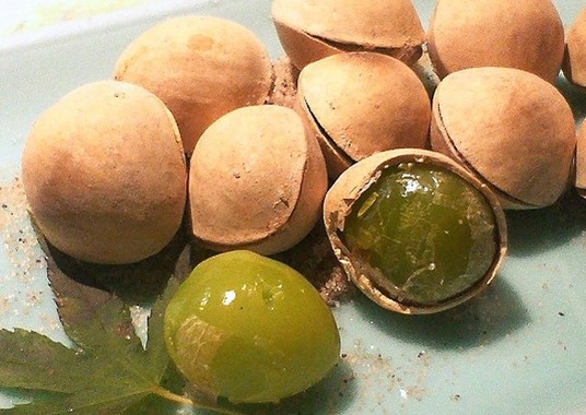 食べすぎに注意したいギンナン