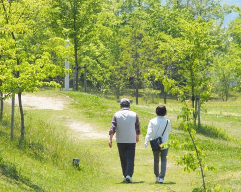 ウオーキングは緑の多い所で