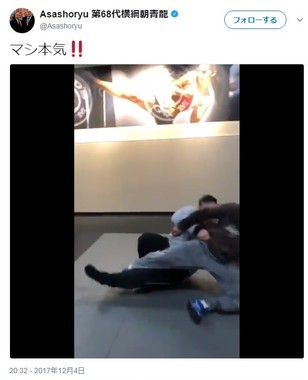 ツイッターに投稿した動画より