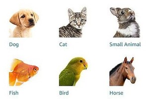 米アマゾンに「ペット専用アカウント」　記者が開設してみると...