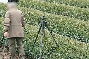 「茶畑に三脚立てる」証拠写真　撮り鉄が撮り鉄を怒りの告発「何も感じないのか？」