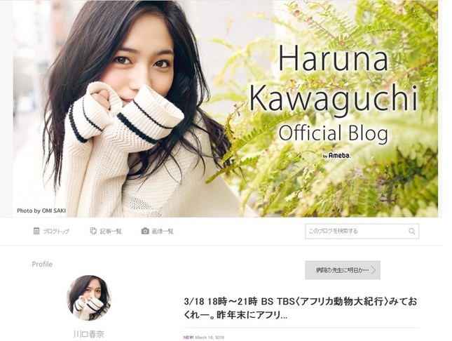 川口さんのブログでも、同じ投稿が紹介されている