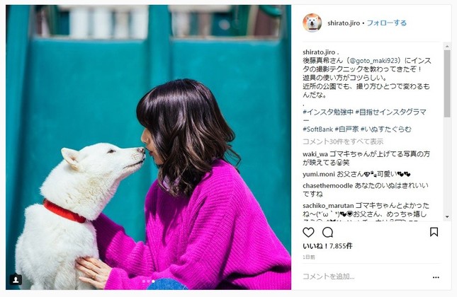 ゴマキとお父さんが唇を近づけ…（お父さん犬のインスタから）