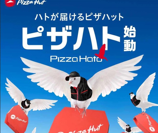 1万羽のハトを大量採用！（画像は、ピザハットの「ピザハト」始動のホームページ）