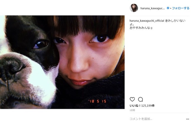 ドアップで愛犬とツーショット（画像は川口春奈さんのインスタグラムより）