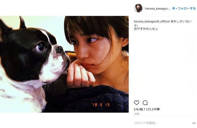 愛犬と見つめあう川口春奈さん（画像は川口春奈さんのインスタグラムより）