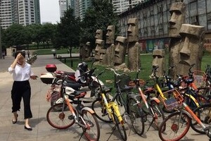 中国デジタル消費の主役「シルバーエイジ」　2030年に6億人の大市場