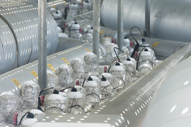 配管に挟まれた凍結管の上部には、白く霜が降りていた