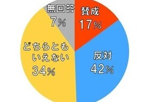 NHK、IR誘致世論調査で「おかしな」円グラフ　多かった「反対」の面積小さく疑問噴出