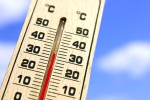 「日本人は我慢強い」「猛暑なら海外選手辞退も」　テレ朝「東京五輪マラソン」特集に視聴者ツッコミ