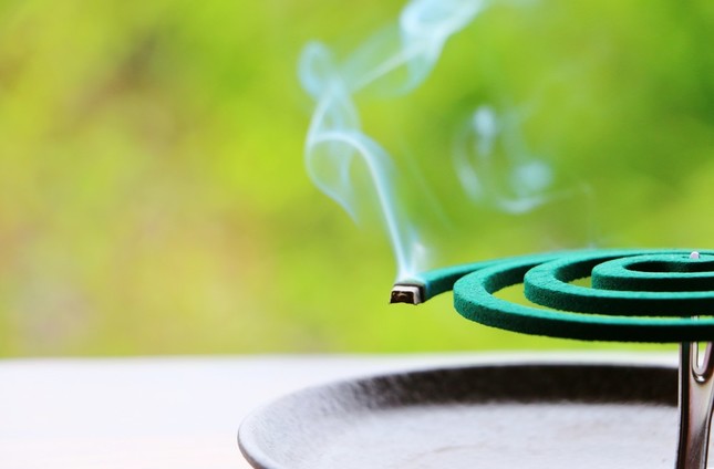 猛暑の影響は「蚊取り線香」にも…？
