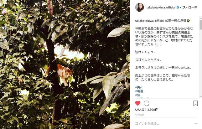 常盤貴子さんのインスタグラムより