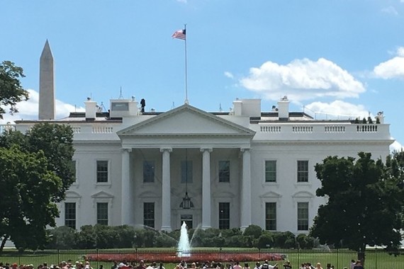 政権内部からの批判が波紋を広げている