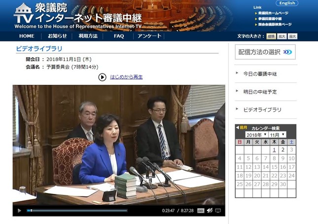 11月1日、衆院予算委員会で野田聖子・委員長が議事を進めた（画像は衆議院インターネット審議中継サイトより）