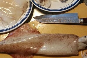 イカを捌いたら、中から7センチの「オオグソクムシ」が...！　専門家も「初めて見た」珍事、その原因は？
