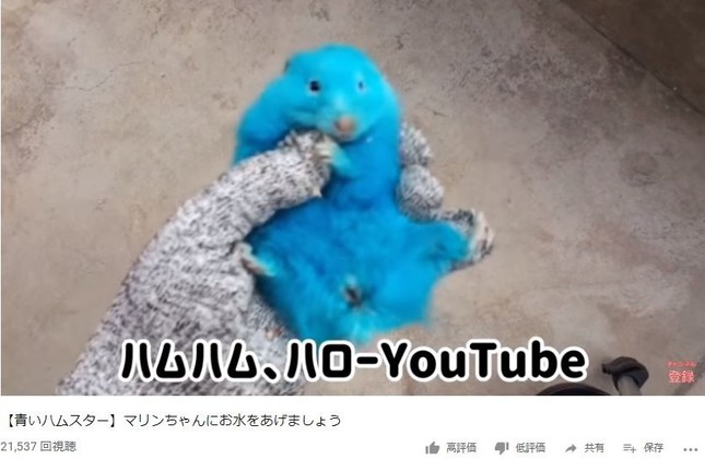 新規チャンネルで公開された動画より