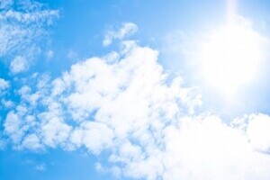 ペットの熱中症に気を付けて！　呼びかけた獣医師に注意点を聞いた