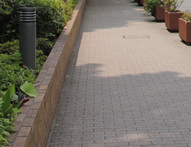 周辺では、マスコミ関係者？の人影も見られたが…