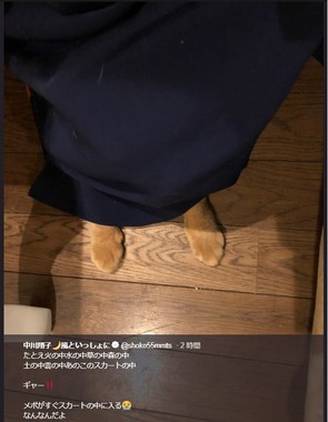 画像は中川さんのツイッターのスクリーンショット