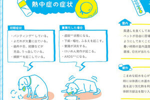 飼い犬の4分の1が「熱中症」経験　要注意のサインは？応急処置のポイントは？