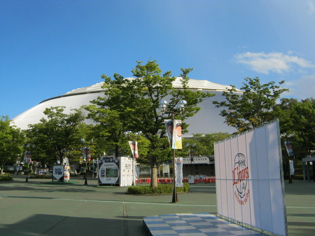 来季はメットライフドームで投げる松坂が見たい？（イメージ）