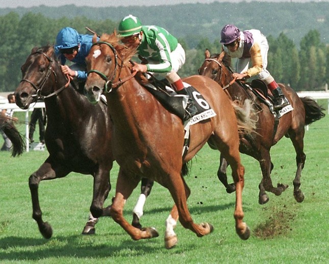 1998年、仏ジャック・ル・マロワ賞を制したタイキシャトル（写真：AFP/アフロ）。名馬に思わぬ災難が