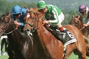 名馬の「たてがみ」悪質客が切る　タイキシャトル、ローズキングダム被害...牧場「非常に残念」