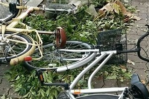 台風でも「バイト来い！」→断ったら処分対象？　弁護士に見解を聞く