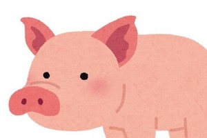 中国の「豚バンジー」に非難轟々　テレビ報道で「胸糞悪い」「映像見てらんない」...