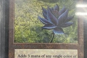 650万円のMTGレアカード購入→350万円の「別バージョン」と判明　店は謝罪、交換対応を報告