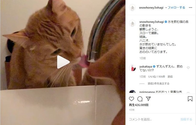 石田さんのインスタグラムより
