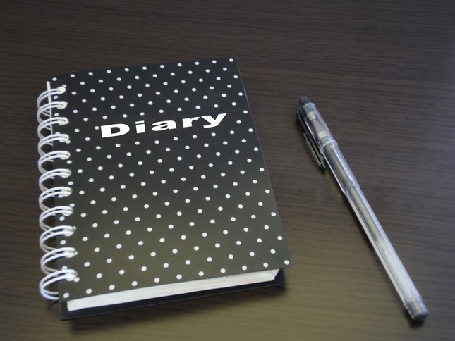 日記をめぐる「奇行」を明らかに（イメージ）
