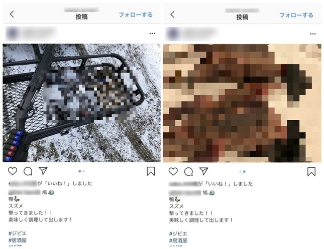 実際に投稿された写真（編集部で一部加工）