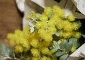 「ホワイトデーに花束を」賛同広がる　花の消費落ち込みで農水省が呼びかけ