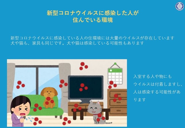 東京都獣医師会「新型コロナウイルスに感染した人が飼っているペットを預かるために知っておきたいこと（Ver.1）」より