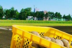 球団スカウト「今年は判断できない」　相次ぐ大会中止で、指名人数にも影響？