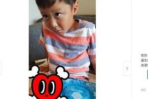 小原正子、息子やけどで反省　熱々うどんを「出したお母さんが悪かった」