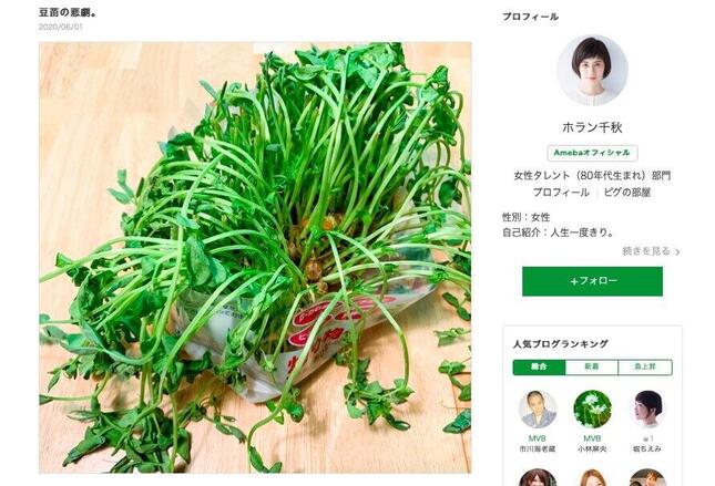 しなしなになった豆苗が……