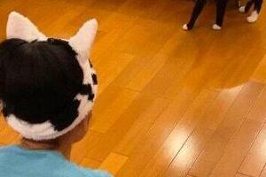 藤あや子、愛猫に警戒される　「チックショー！！」