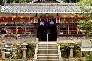 神社の敷地が、ランニング大会コースに...「何も聞いておりません」　猛抗議に主催者の対応は？