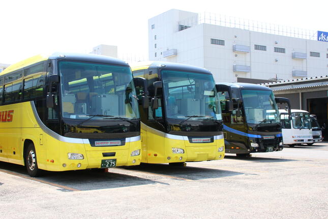 「経費削減」のためもあり、ナンバープレートを外したはとバス（中央、2020年8月25日、東京都大田区）