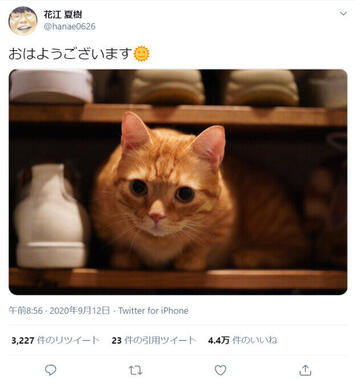 花江夏樹さんのツイート
