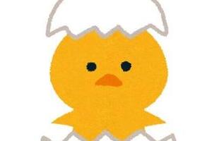 神田うの、ひよこ誕生の瞬間に立ち会う　卵からかえって「感無量」