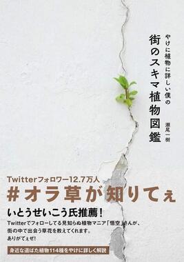 『やけに植物に詳しい僕の街のスキマ植物図鑑』 